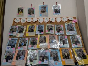 PXL_20260412_003008932